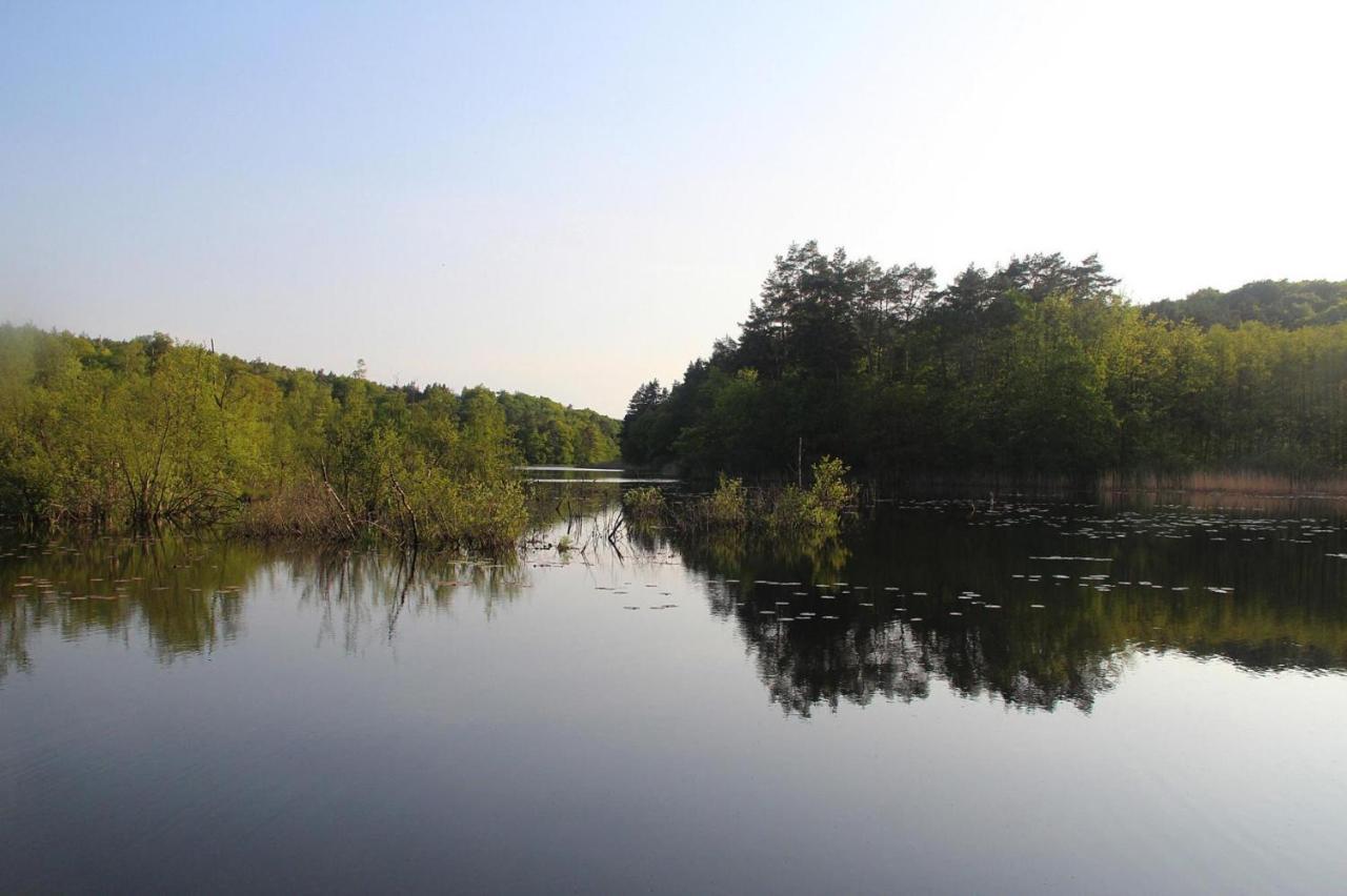 Holiday Flat In Kolczewo-70 Qm For 6 Persons Екстериор снимка